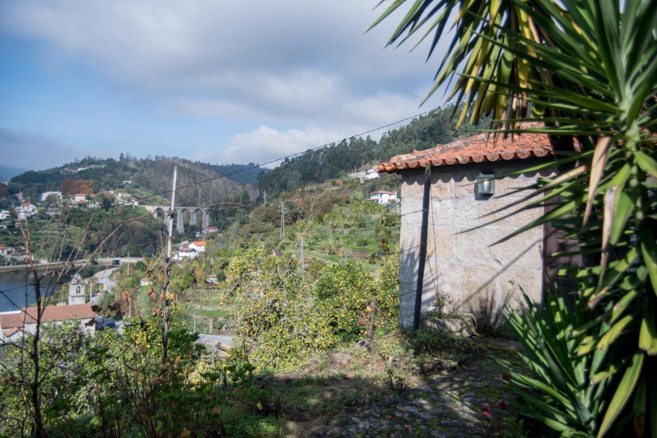 הוילה ריבה דורו Casa Da Torre, Porto Manso מראה חיצוני תמונה