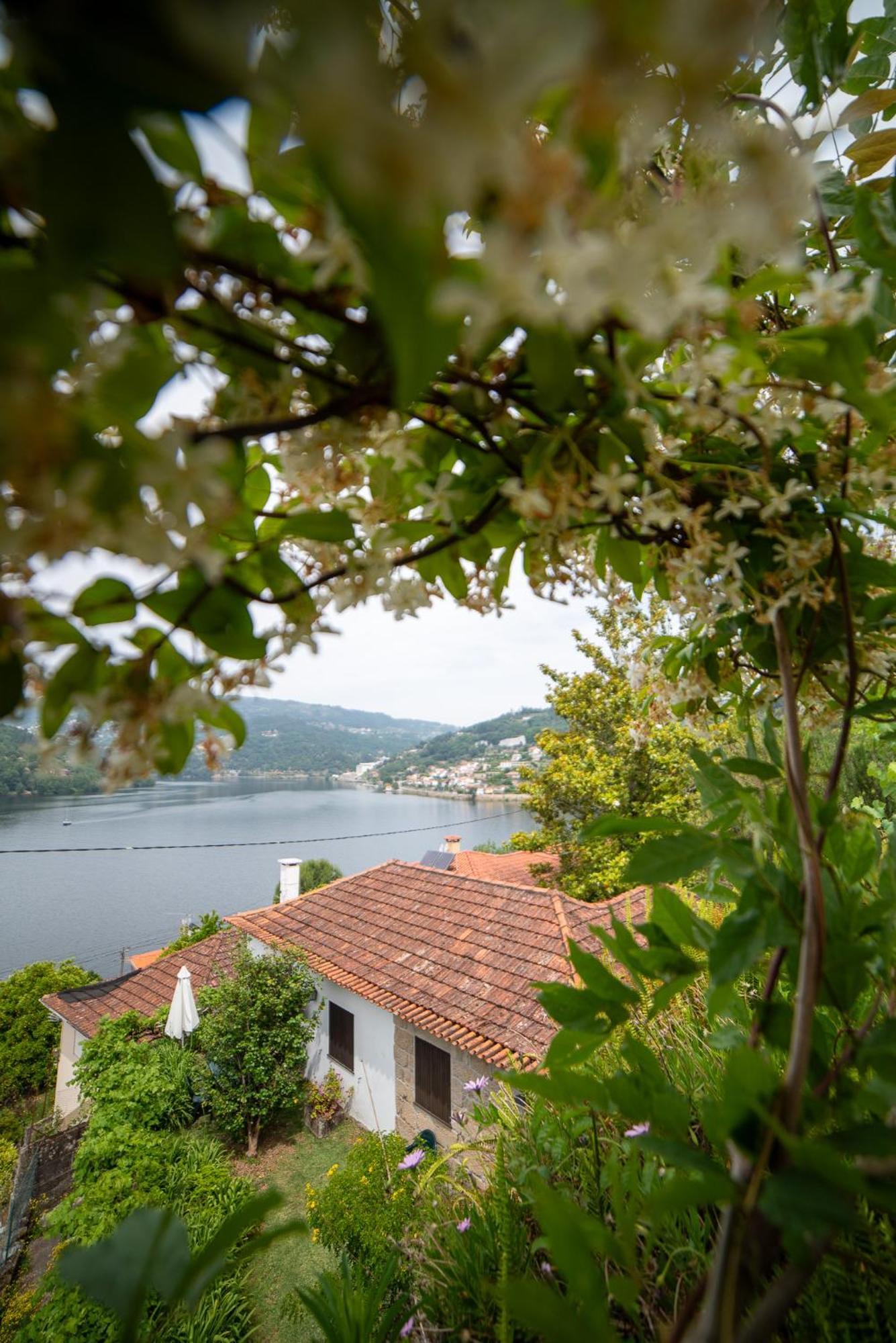 הוילה ריבה דורו Casa Da Torre, Porto Manso מראה חיצוני תמונה